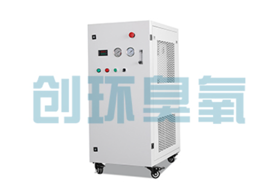 江西石斑鱼养殖水质调控完整指南：臭氧发生器配置与操作步骤