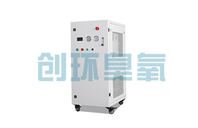 江西比传统换水更高效？臭氧发生器在石斑鱼养殖中的水质净化原理解析
